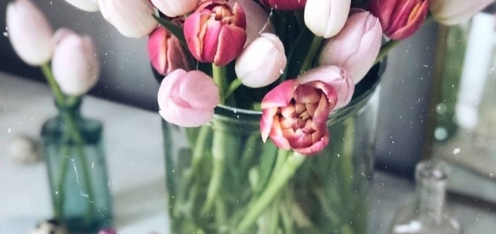 Тюльпаны ретро фото